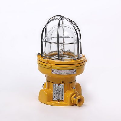 Marine Explosion-Proof Pendant Light – CFD1