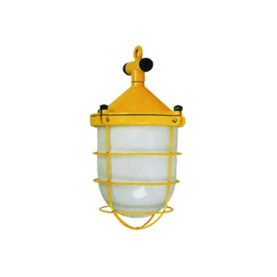 Marine High-Power Pendant Light – CGD1