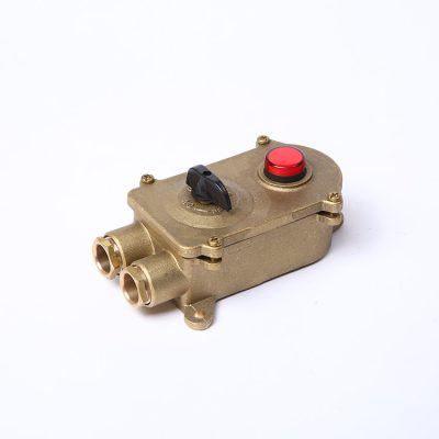 Marine Brass Socket With Chain Switch/Indicator Light