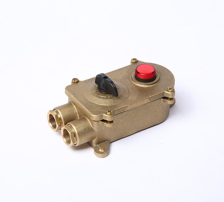 Marine Brass Socket With Chain Switch/Indicator Light
